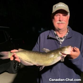 george3279 - date a Canadian, 100% free george3279